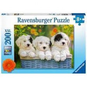 CUCCIOLI CANE PUZZLE